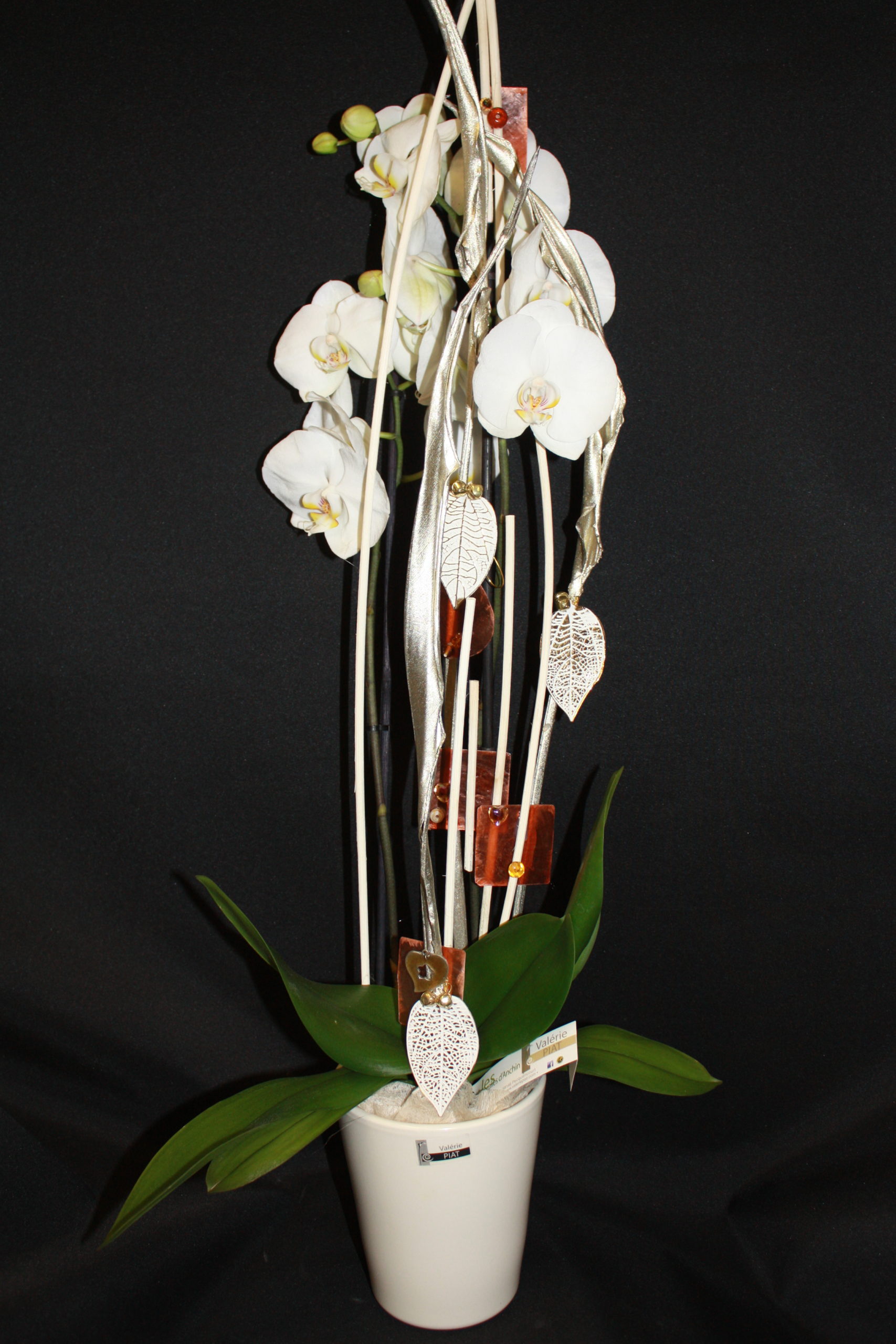 Orchidée blanche avec décoration