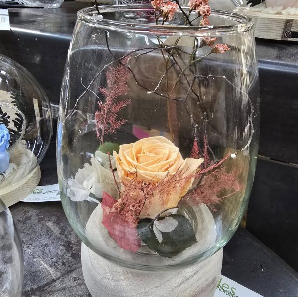 476798249_1057327023078267_2534205855639756231_n