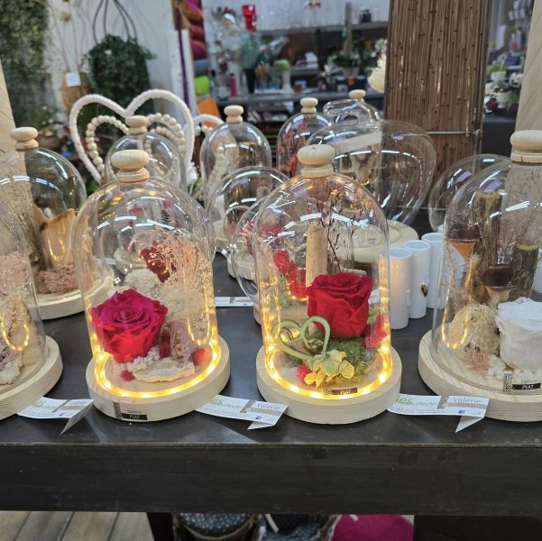 476802331_1057326789744957_225601095999572154_n (1)