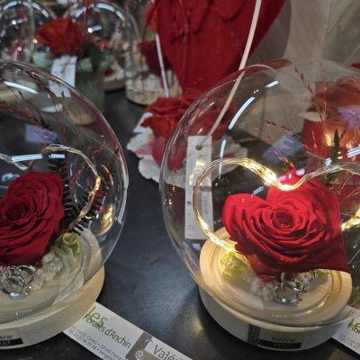 476883930_1057326609744975_744042881958236244_n