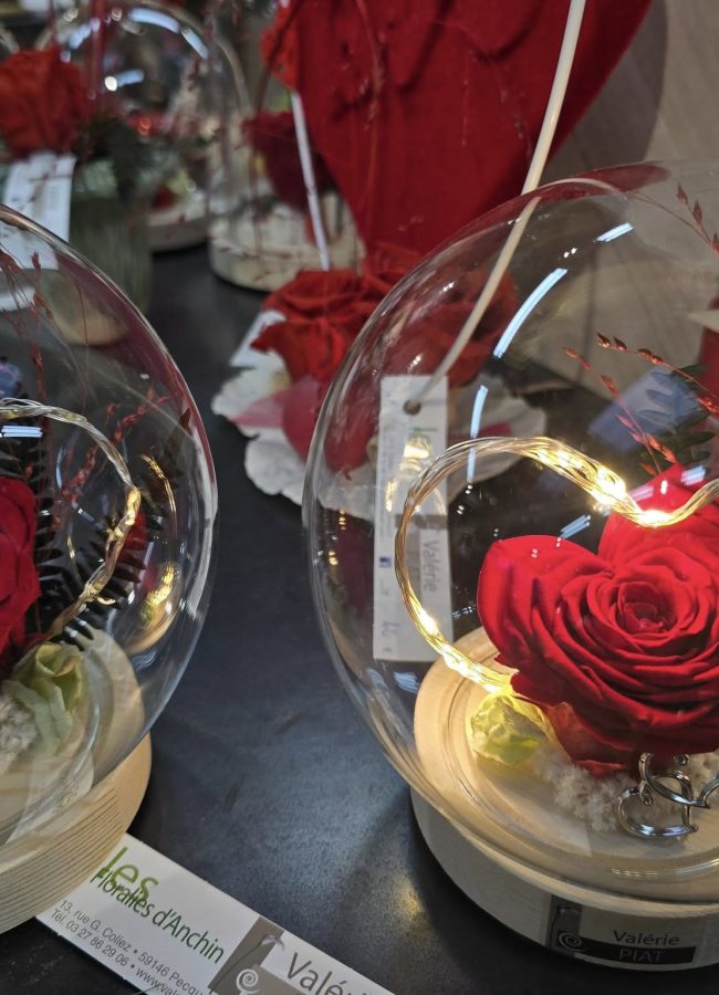 476883930_1057326609744975_744042881958236244_n