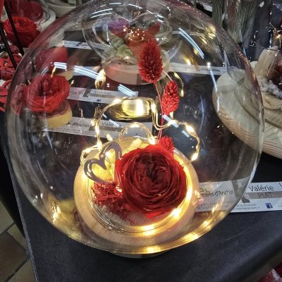 477214893_1057326849744951_2847377354772435147_n