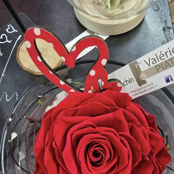 477315567_1057326273078342_7102566648412420755_n (1)