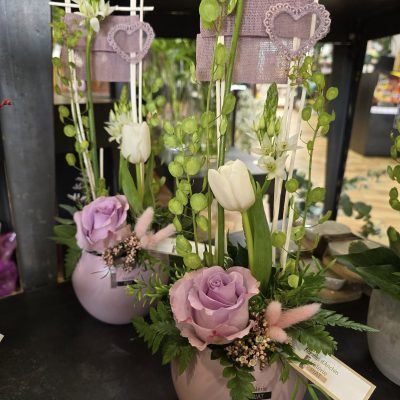 481244800_1070672648410371_4523720460815937459_n