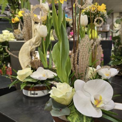 481712699_1070672721743697_2796358260703996943_n