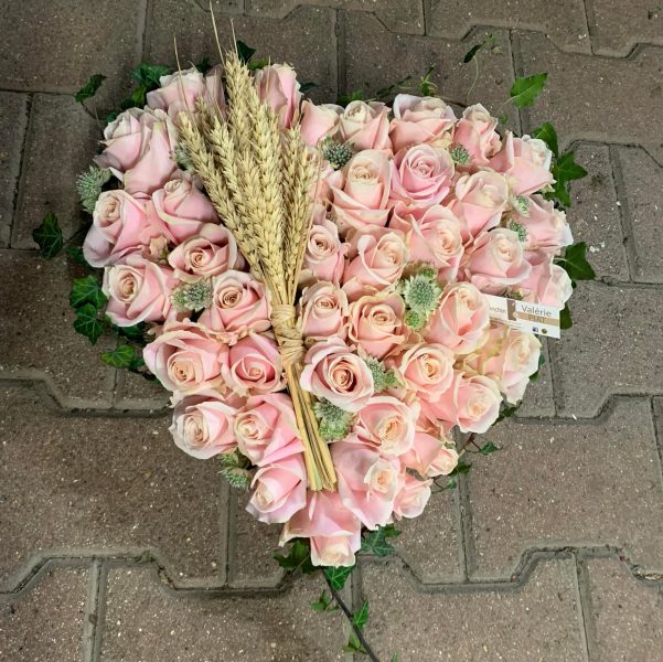 485154061_1086699613474341_2072376088784176028_n