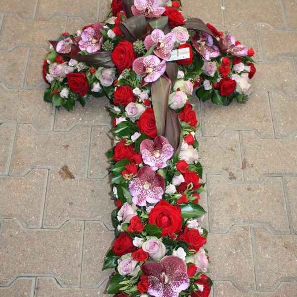 485348188_1086699326807703_4189984590217613808_n