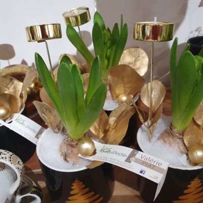 485381078_1088724239938545_8408313475889934806_n