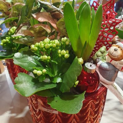 485630518_1088724069938562_7988430923043280803_n