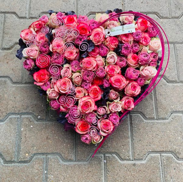 485728723_1086699506807685_3906611430557691412_n