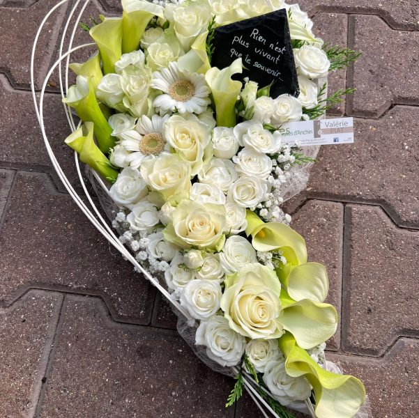 485728729_1086699440141025_7725927350627250685_n