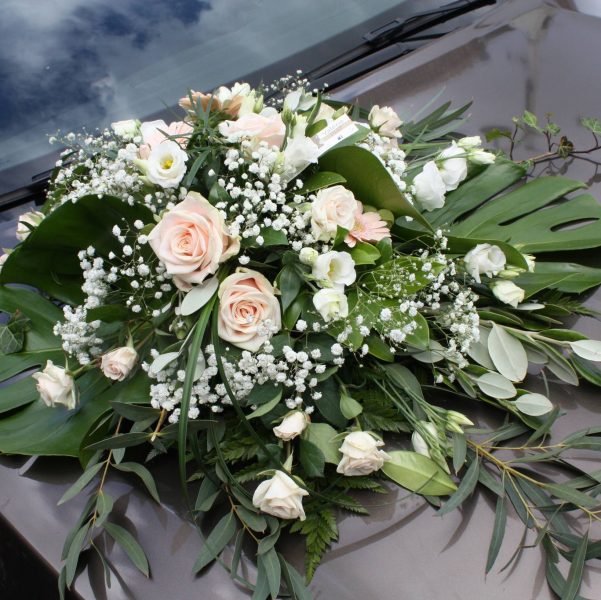 487219158_1097211822423120_2528027312727136937_n