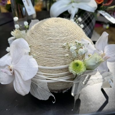 487417240_1096316202512682_8643014793661463840_n