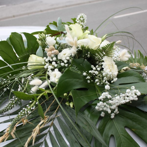 487460210_1097415769069392_693124470503840911_n