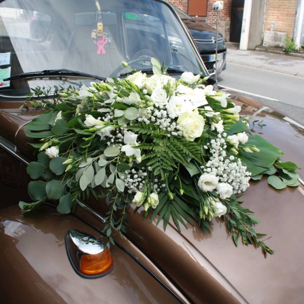 487514835_1097212992423003_8326130233925059671_n