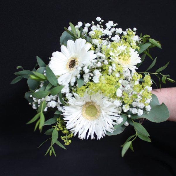 487788148_1097211905756445_246453834907533434_n