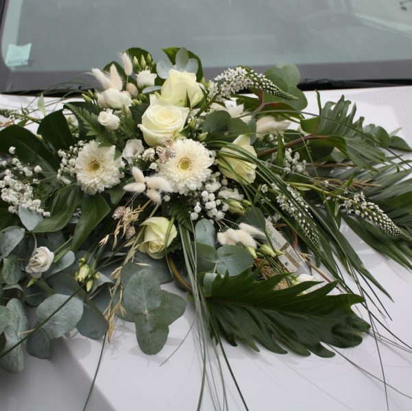 487818323_1097415835736052_1801297500349686544_n