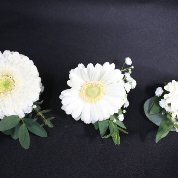 487855193_1097212225756413_1102119616001920376_n