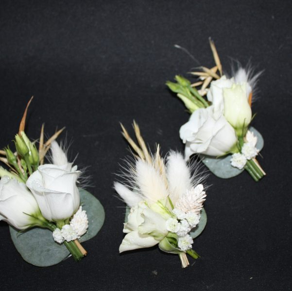 487870382_1097415692402733_5287943847025141927_n