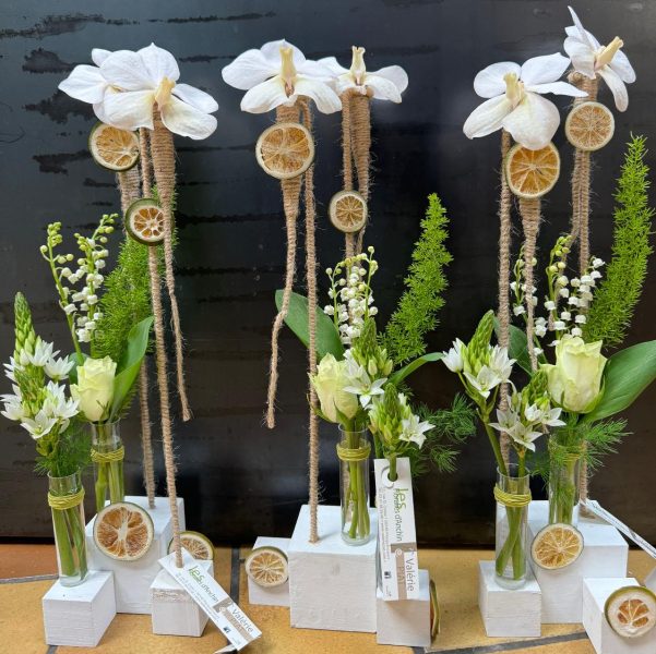 488004002_1096060705871565_4315471465905925095_n