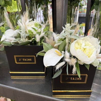 488448350_1096316522512650_3489268450899041747_n