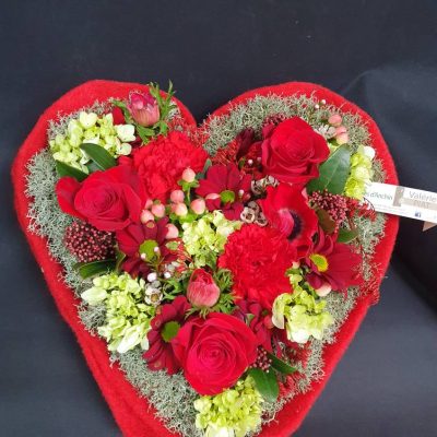 488561846_1102418128569156_2056543704859014152_n