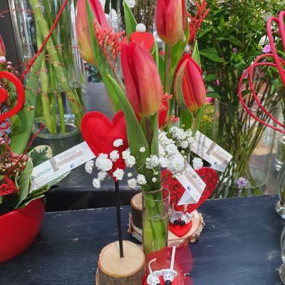 488657463_1102417771902525_5850693173068071721_n