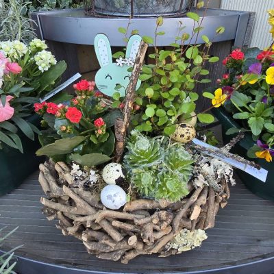 491216746_1111775820966720_8716218448652691830_n