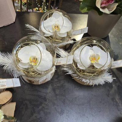 491287932_1111775070966795_9104484742439517222_n