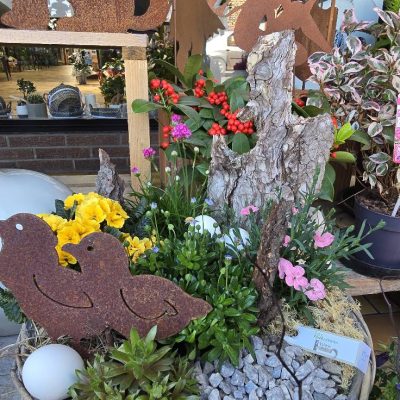 491305040_1111775890966713_901903242007838222_n