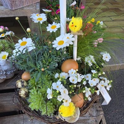 491352624_1111775737633395_6450796908112123391_n