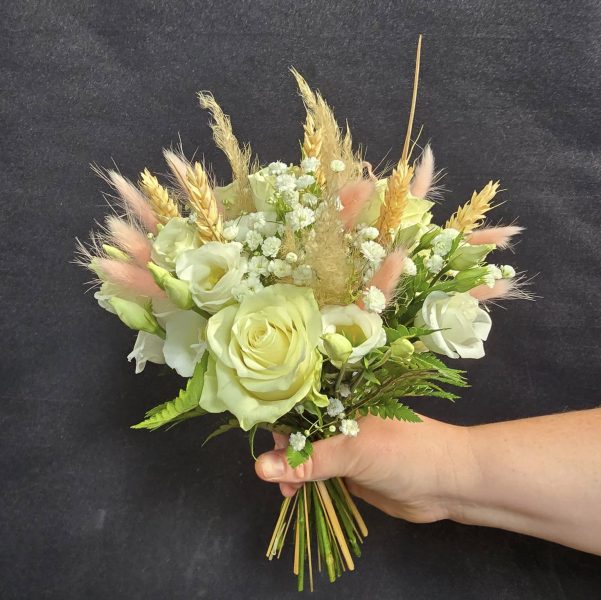 497637136_1133243302153305_5328350648248076395_n