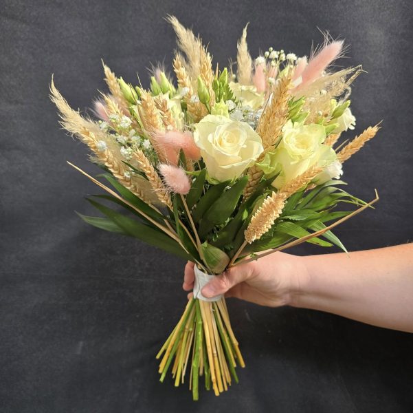 497827383_1133243348819967_2499040060853675067_n