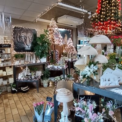 515003961_24285272017776992_7465380953593378126_n