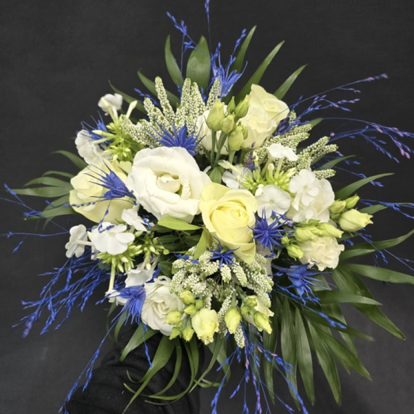 Capture d’écran 2025-05-06 à 16.49.53