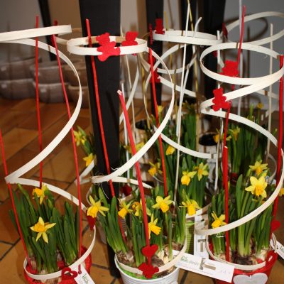 f des gd meres 15 027