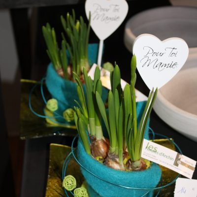 f des gd meres 15 028