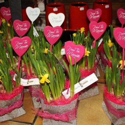 f des gd meres 15 036