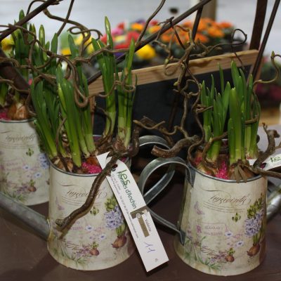 f des gd meres 15 039